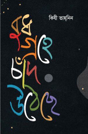 বুধ গ্রহে চাঁদ উঠেছে